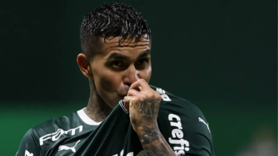 dudu-palmeiras