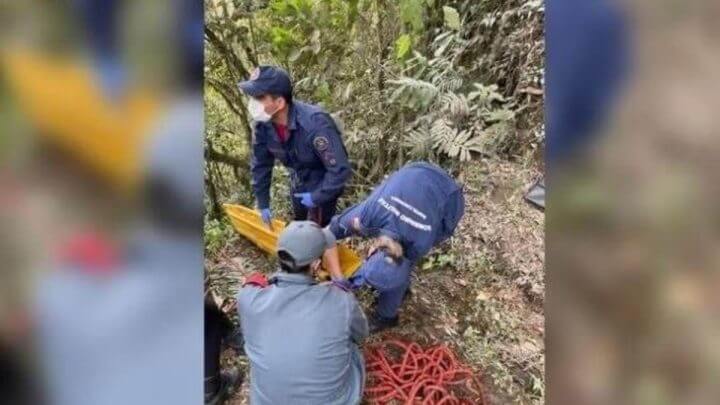 À época, socorristas retiraram os corpos da mata