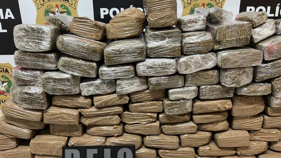 Maconha apreendida na operação