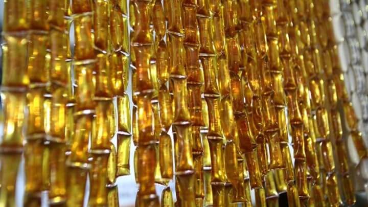 Feira virtual do Mel de SC terminam neste domingo; veja como comprar