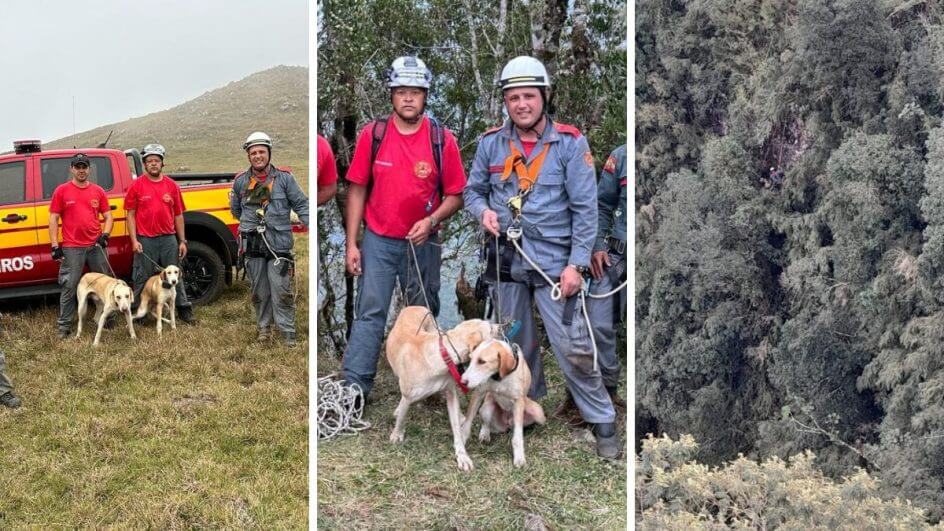 Dois cães que caíram de penhasco em Santa Bárbara, em Bom Jardim da Serra