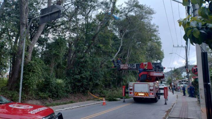 Turista fica preso em árvore durante voo de parapente e mobiliza resgate em Florianópolis