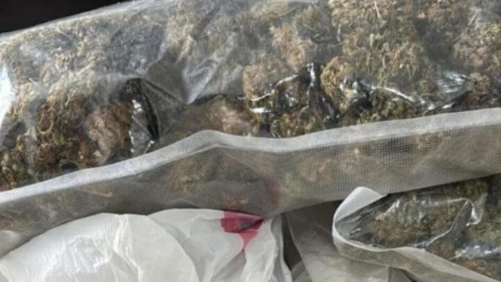 Supermaconha gourmet apreendida em Florianópolis