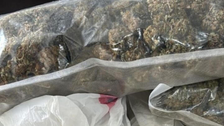 Supermaconha gourmet foi apreendida em operação sobre tráfico de drogas entre ricos de Florianópolis
