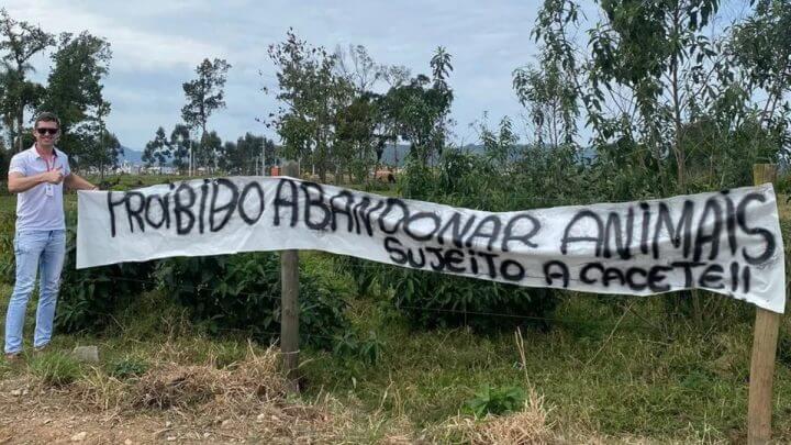 faixa-tijucas abandono de animais Júlio César Bucoski Arquivo pessoal