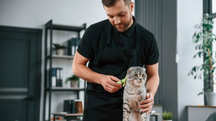Homem de roupa preta escovando gato cinza em cima de mesa