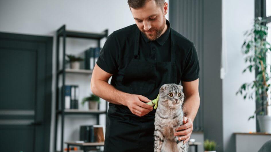 Homem de roupa preta escovando gato cinza em cima de mesa