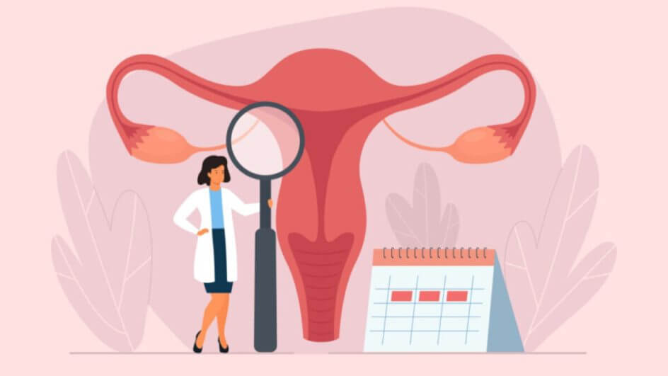 Ilustração de útero rosa com médica com lupa ao lado