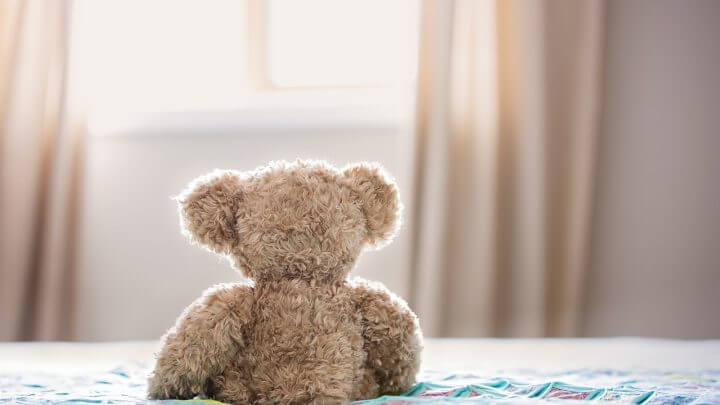 urso pelúcia