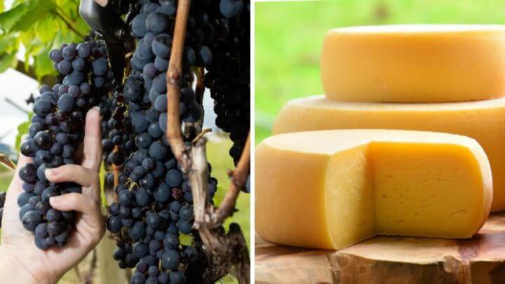 vinho e queijo