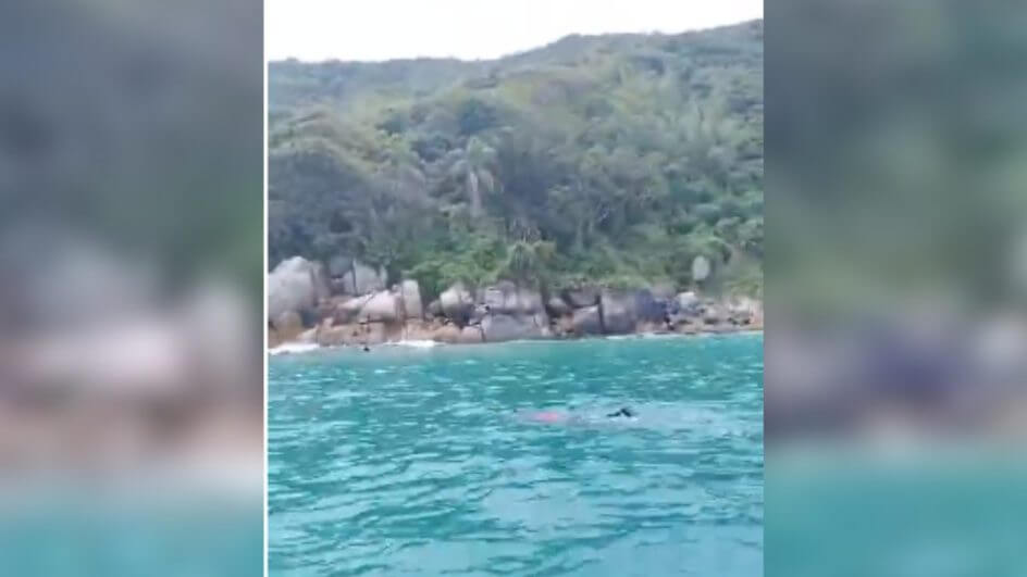 Adolescente de 13 anos desaparece ao entrar no mar em Florianópolis