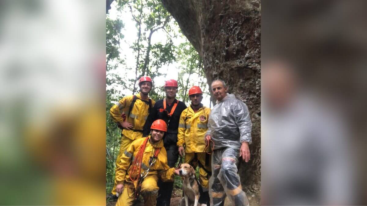 Cachorro cai de paredão de 20 metros no Sul de SC