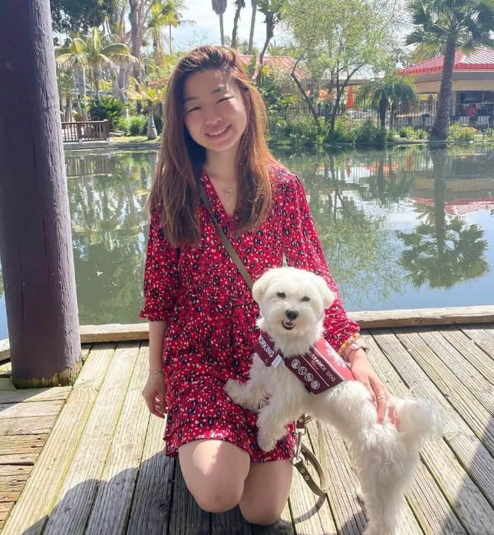 Cachorro influencer viaja o mundo e diverte a web com imagens encantadoras