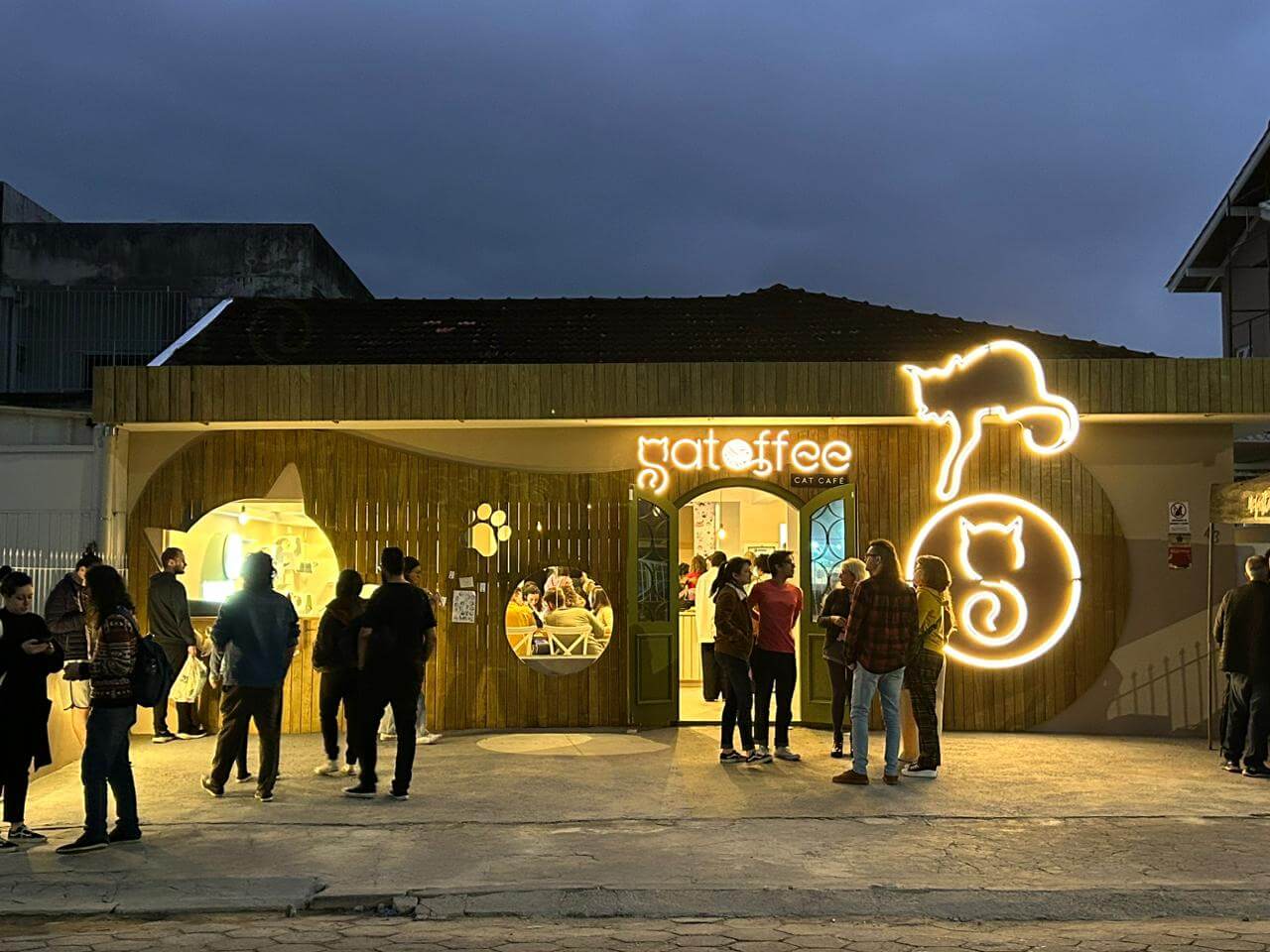 Florian&oacute;polis recebe o primeiro Cat Caf&eacute; de SC; clientes podem adotar e brincar com gatos 