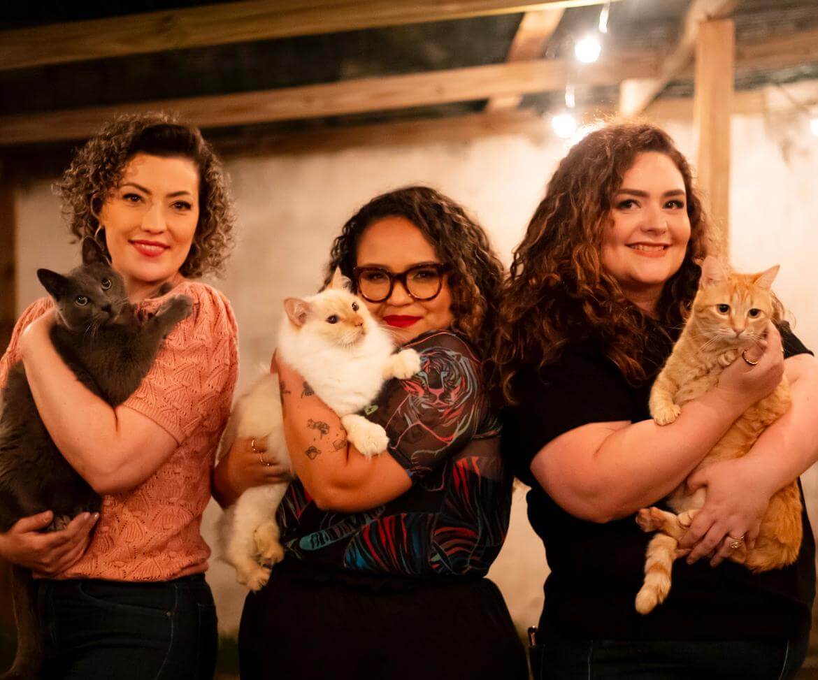 Florian&oacute;polis recebe o primeiro Cat Caf&eacute; de SC; clientes podem adotar e brincar com gatos 
