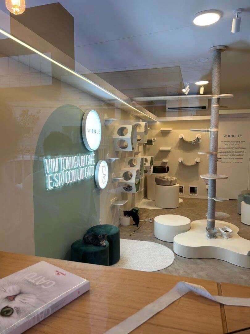 Florian&oacute;polis recebe o primeiro Cat Caf&eacute; de SC; clientes podem adotar e brincar com gatos 