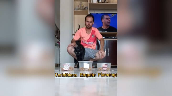 Gato vidente prevê o resultado do jogo entre Corinthians x Flamengo (Foto: @natandelicia17/TikTok/Reprodução)