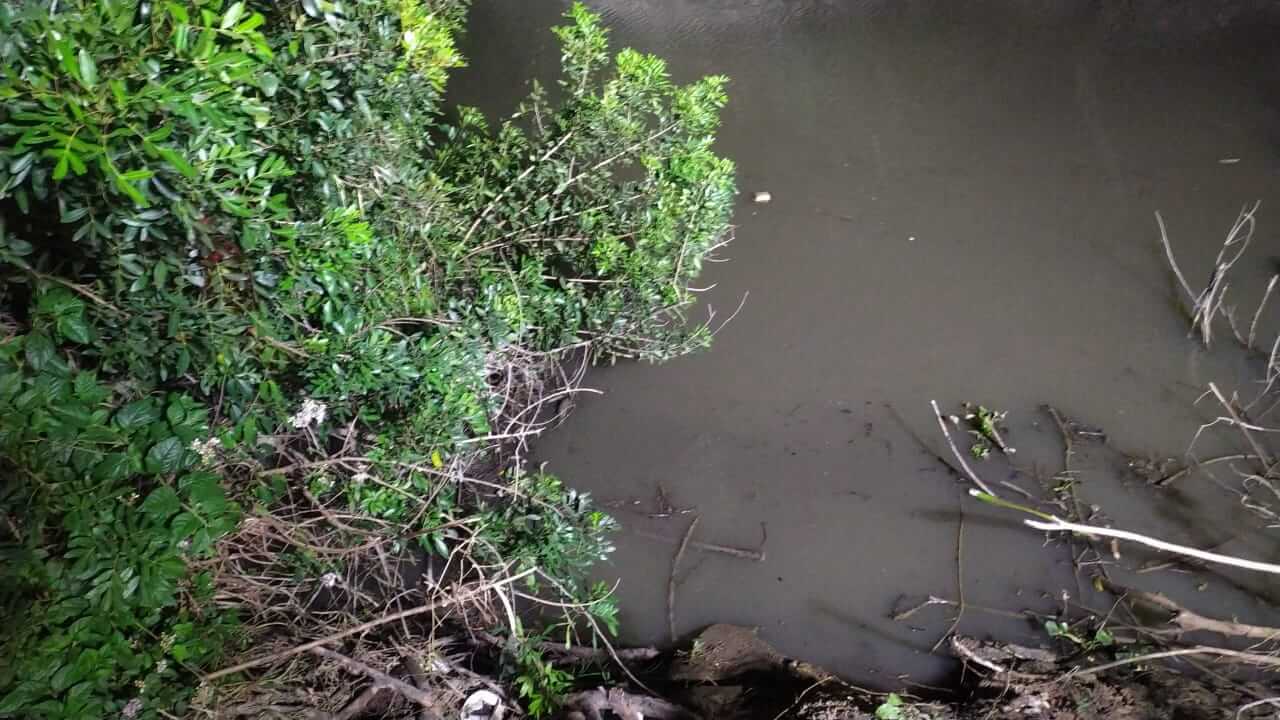 Idoso morre afogado ao se desequilibrar e cair em rio em Palhoça (2)