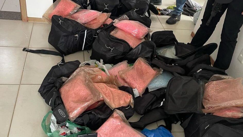 Malas que escondiam mega estoque de ecstasy são descobertas pela polícia durante ação em SC (2)