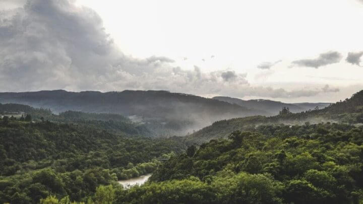 Santa Catarina tem quarta maior área de Mata Atlântica de pé no país (Foto Tiago GhizoniDC)