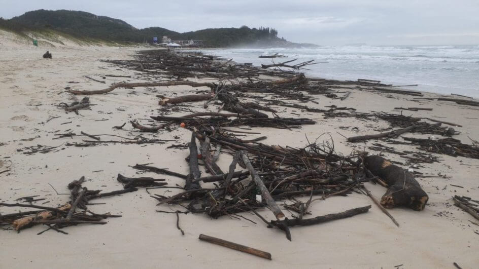 Veja como ficaram as praias de Florianópolis após as chuvasv