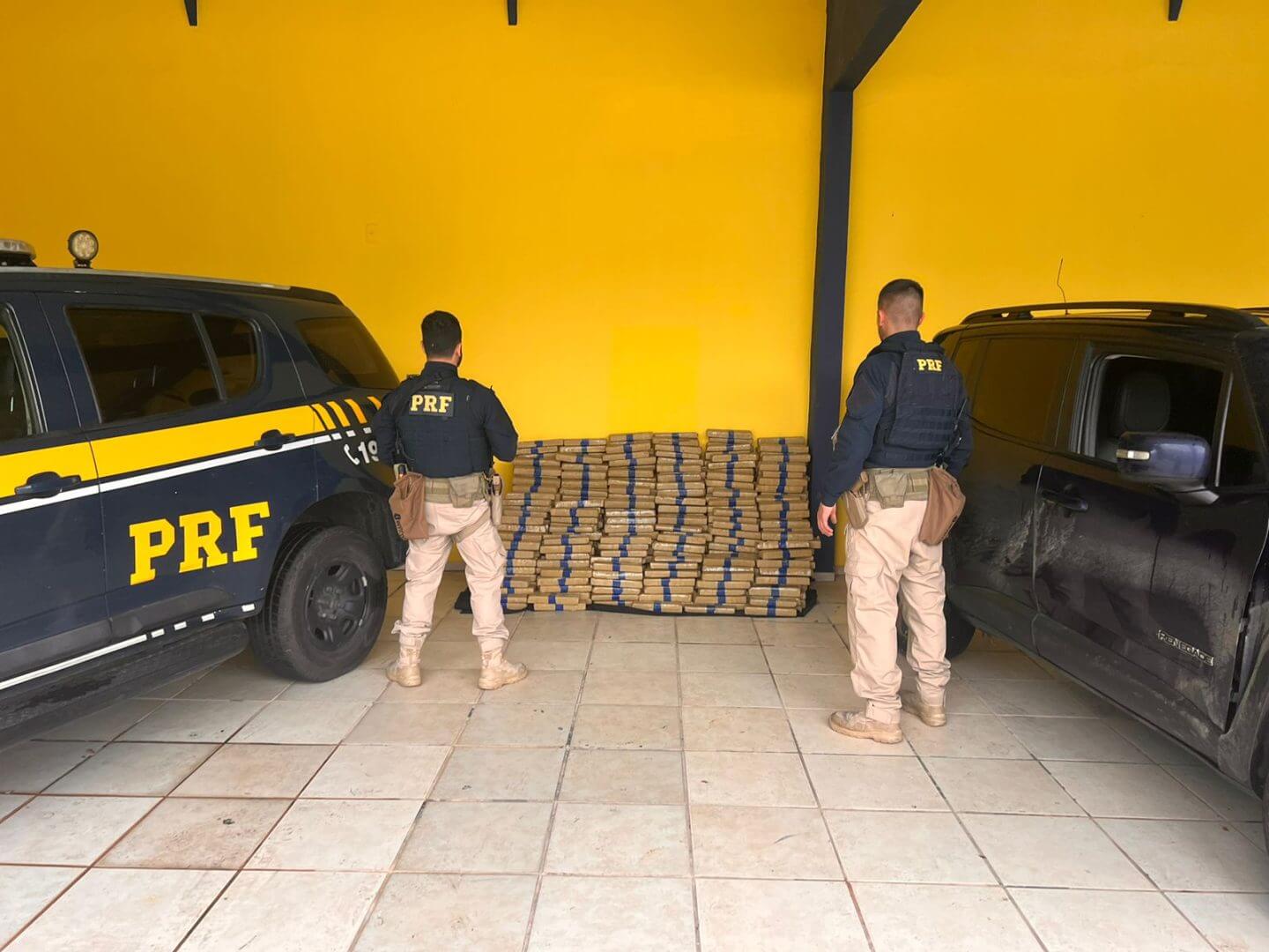 Foram centenas de tabletes apreendidos pela Polícia Rodoviária Federal (Foto: Ascom/PRF-SC)