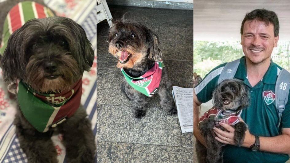 Pretinha, a cachorrinha torcedora do Fluminense que encanta na web (Foto: Reprodução/Instagram/@pretinhadogtricolor)