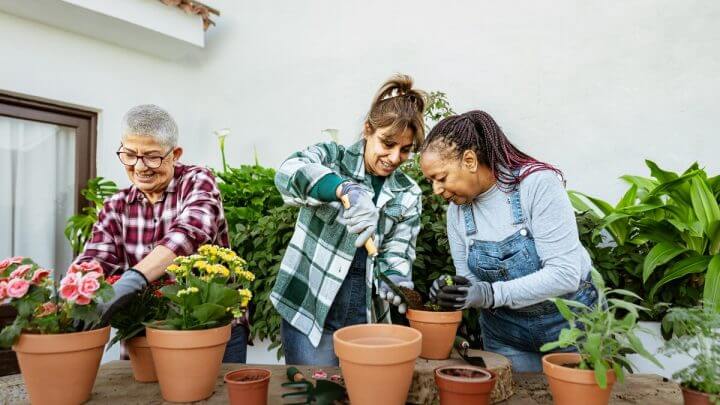 Três mulher cuidando de flores em vasos de planta