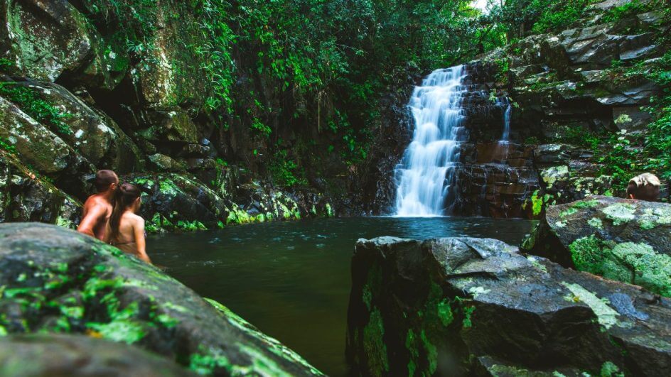 No dia da natureza, confira 10 lugares para contemplar a fauna e a flora de Florianópolis