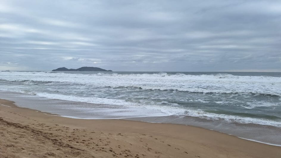 Morre baleia encalhada em praia de Florianópolis