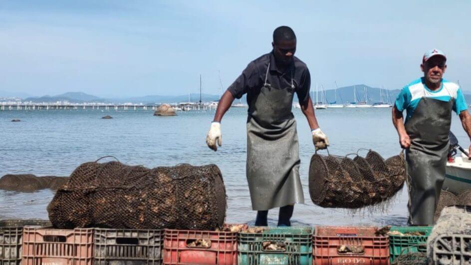 Pesca em Santa Catarina teve prejuízo de mais de R$ 3 milhões (Foto: Arquivo, NSC Total)