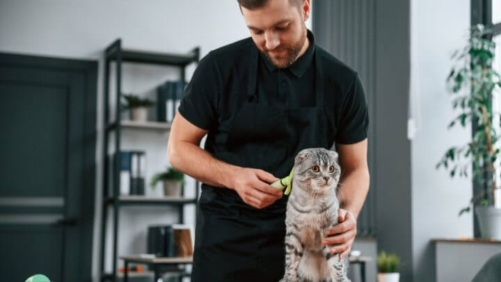 Homem de camiseta preta escovando os pelos de um gato
