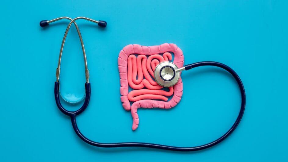 Desenho de um intestino com um estetoscópio em cima dele