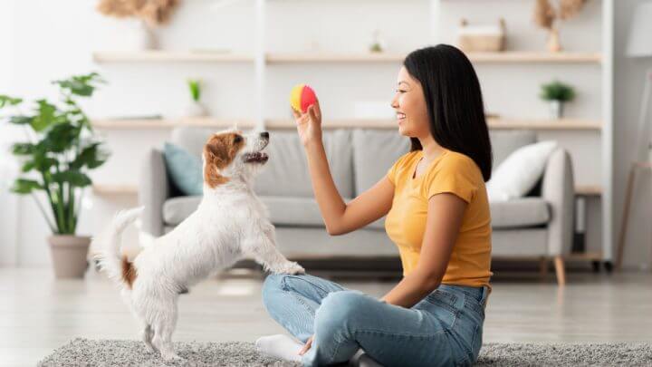 Mulher sentada no chão segurando bolinha para cachorro. O cachorro está apoiado na perna dela olhando para a bolinha.