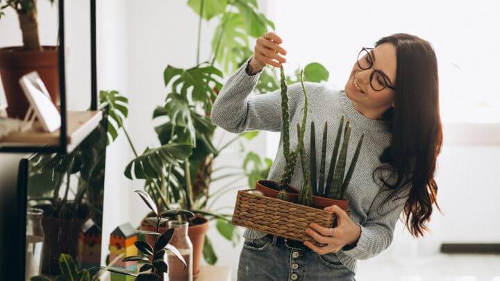 Mulher segurando um vaso de planta
