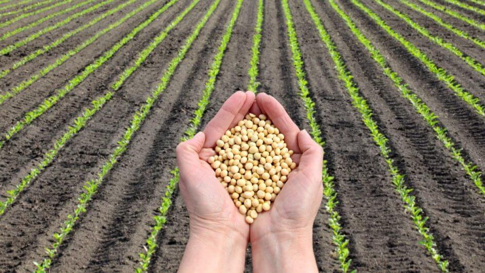 Tec Agro 2023 discute o cooperativismo e a modernização das propriedades rurais em SC