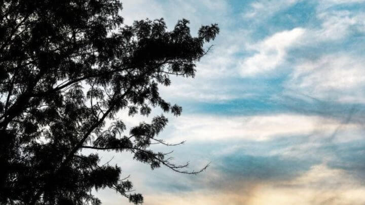 Tempo melhora em SC mas semana segue em alerta para mais chuva e deslizamentos