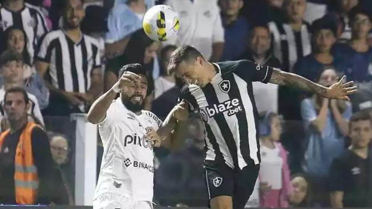 Botafogo x Santos (Foto: Vitor Silva, Botafogo, Divulgação)
