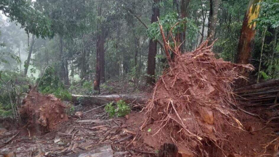 Defesa Civil de Santa Catarina confirma tornado em Cunha Porã