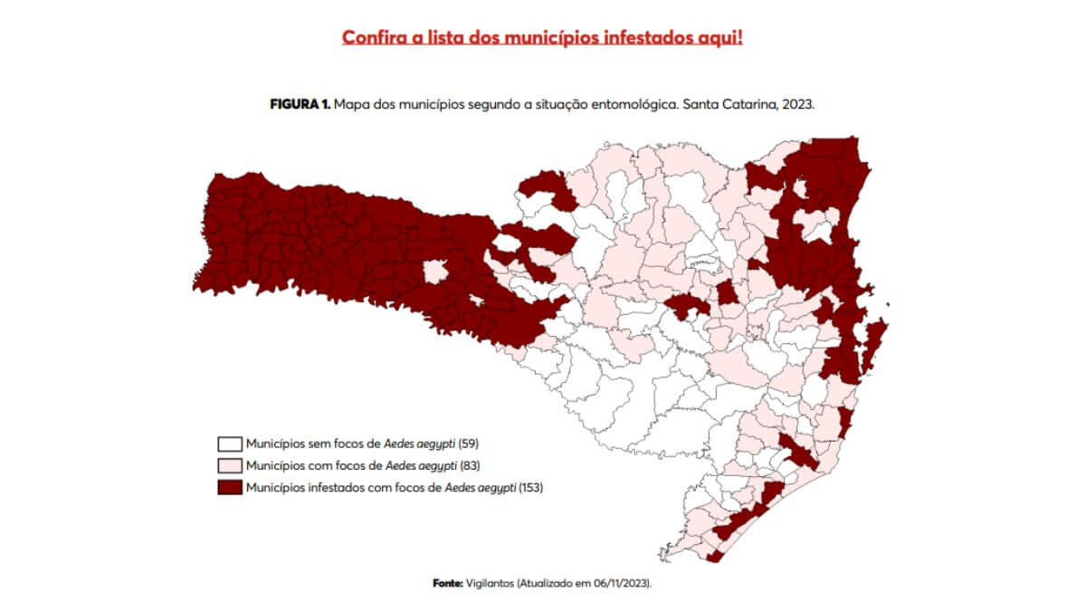 Focos de dengue