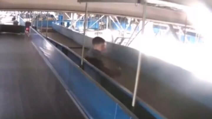 Menino de 3 anos sobe em esteira de bagagem e vai parar em zona restrita do aeroporto