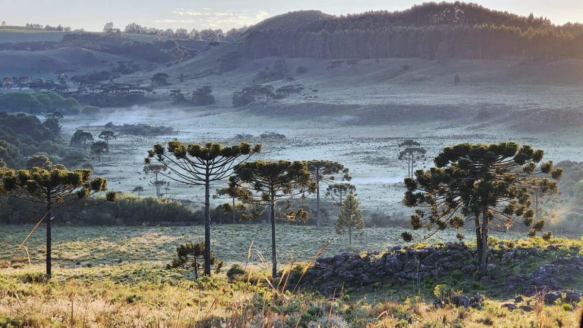 Serra de SC amanhece com paisagem de inverno e campos cobertos por geada em plena primavera 