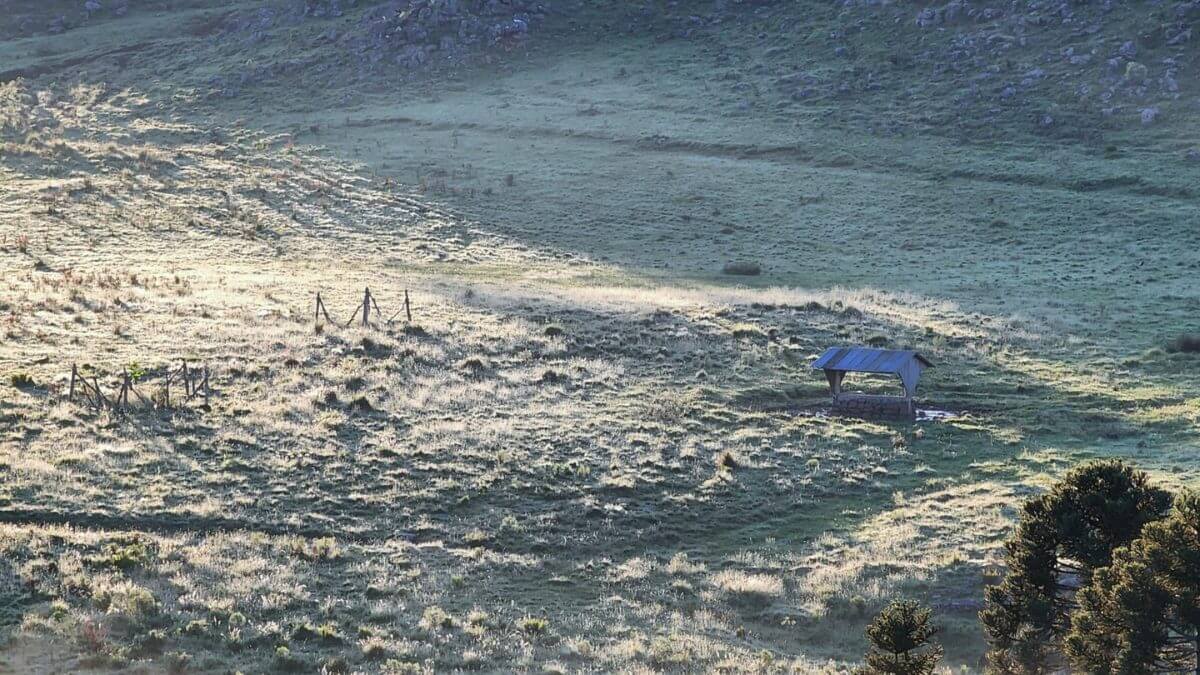 Serra de SC amanhece com paisagem de inverno e campos cobertos por geada em plena primavera 