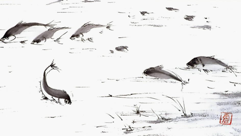 Trabalho da artista Nadir Ferrari. crédito Nadir Ferrari