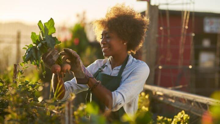 Mulher sorrindo colhendo um vegetal em uma horta