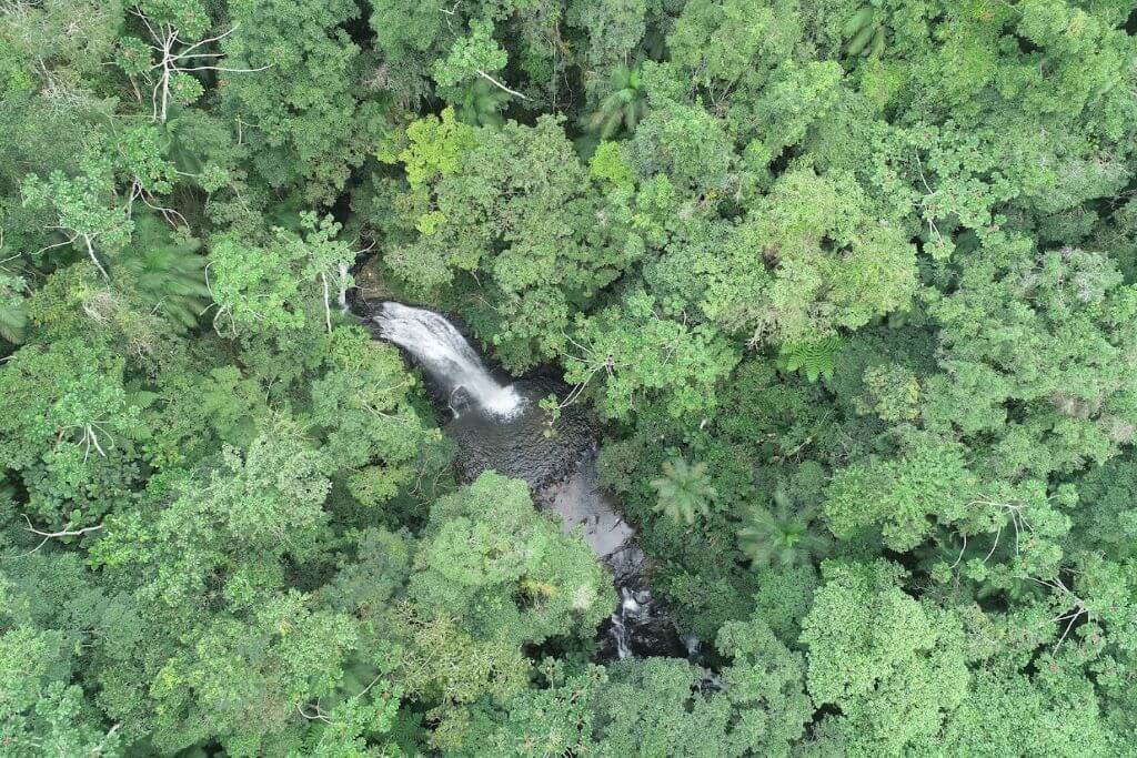 Desmatamento da Mata Atlântica em SC desacelera, mas dados ainda preocupam