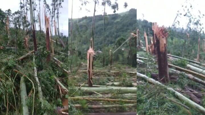 Defesa Civil confirma tornado em cidade do Oeste de SC