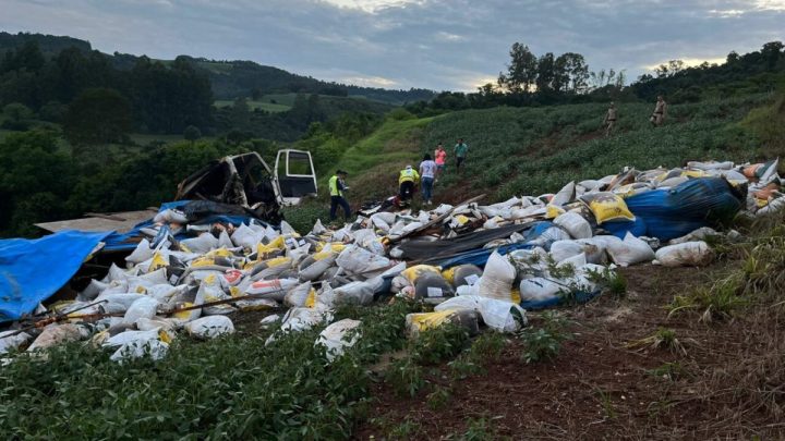Caminhão sai da pista, tomba no Oeste de SC e motorista fica ferido