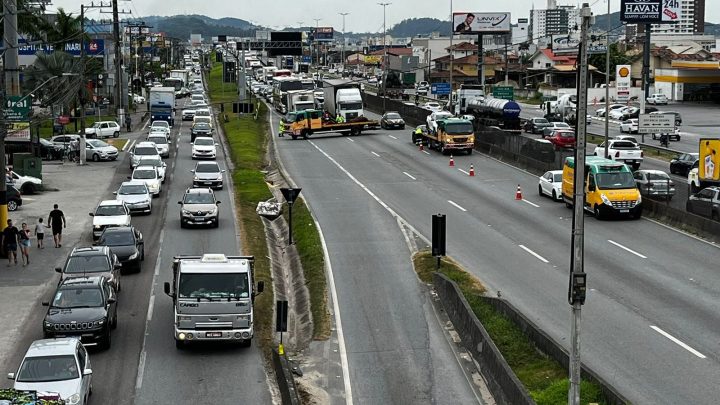 Cavalo é atropelado e causa filas na BR-101, em Palhoça (3)
