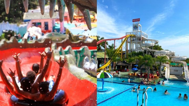 Conheça os parque aquáticos de SC para aproveitar o verão